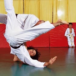 Discipline orientali