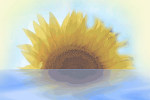 girasole estate